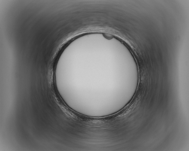 X0000113031507200909171450