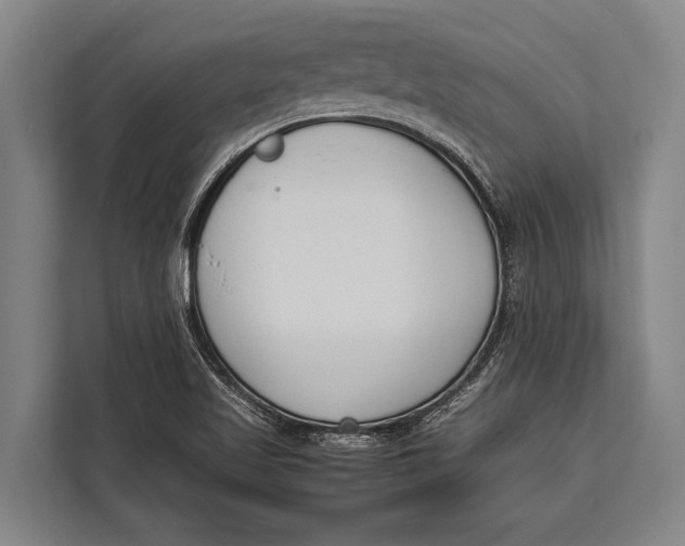 X0000113031509200909171450