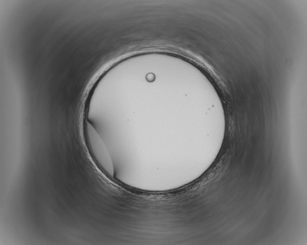 X0000113031512200909171450