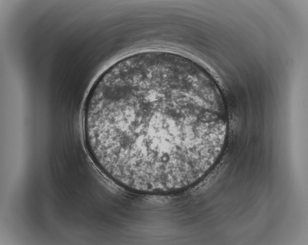 X0000113031514200909171451