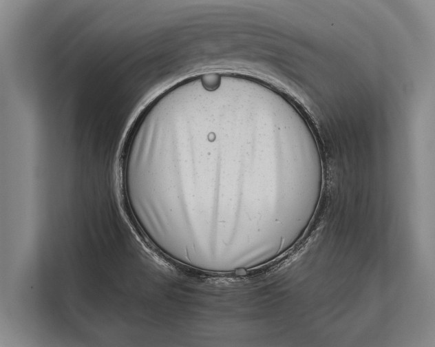 X0000113031517200909171451