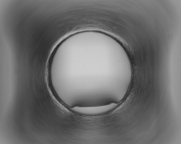 X0000113031518200909171451