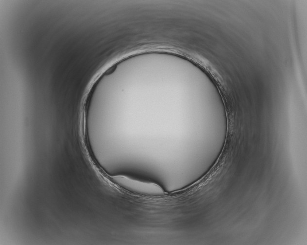 X0000113031520200909171451