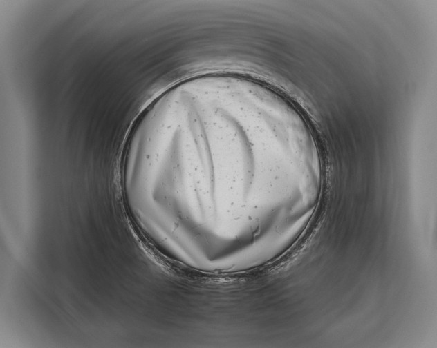 X0000113031521200909171451