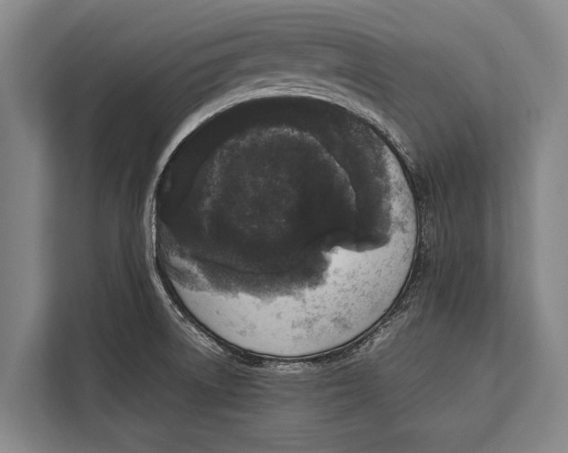 X0000113031522200909171451