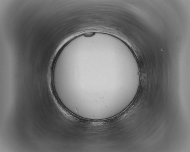 X0000113031523200909171451