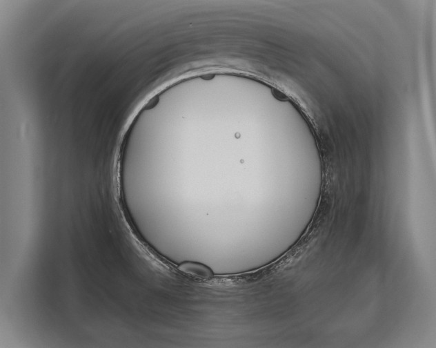 X0000113031524200909171451