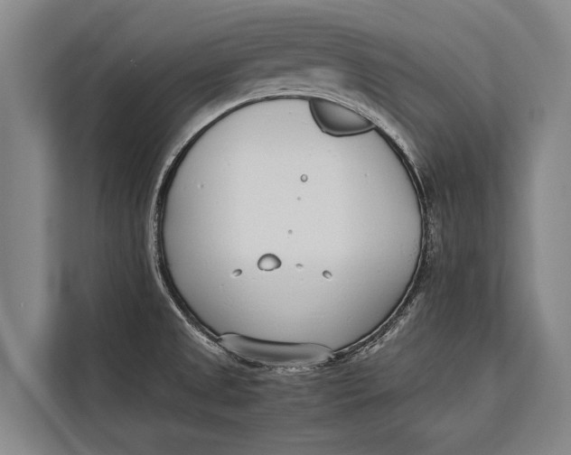 X0000113031525200909171451