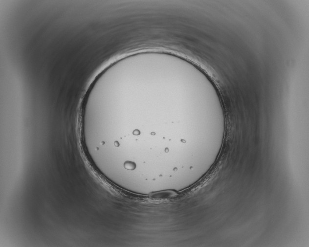 X0000113031526200909171451