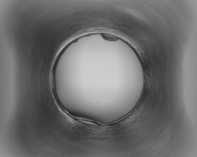 X0000113031527200909171451