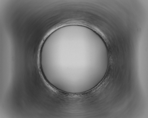 X0000113031528200909171451