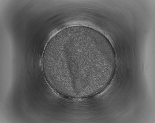 X0000113031529200909171451