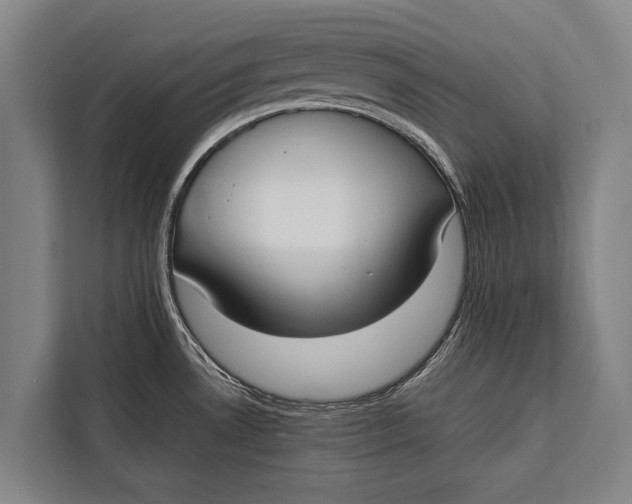 X0000113031530200909171451