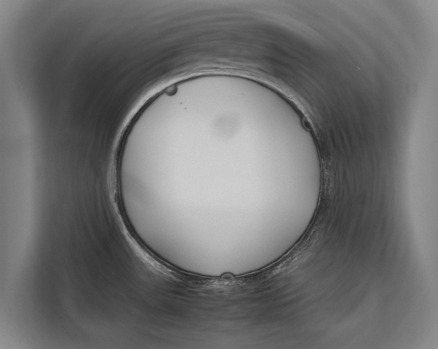 X0000113031531200909171451