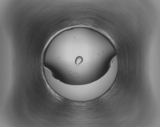 X0000113031532200909171451