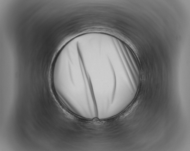 X0000113031533200909171451