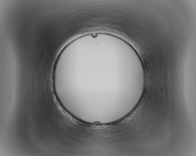 X0000113031534200909171451