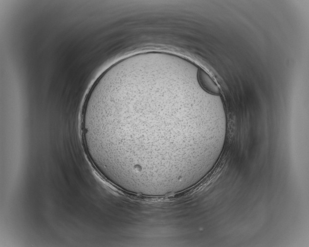 X0000113031535200909171451