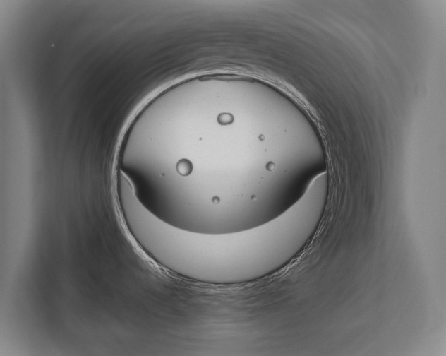 X0000113031536200909171451