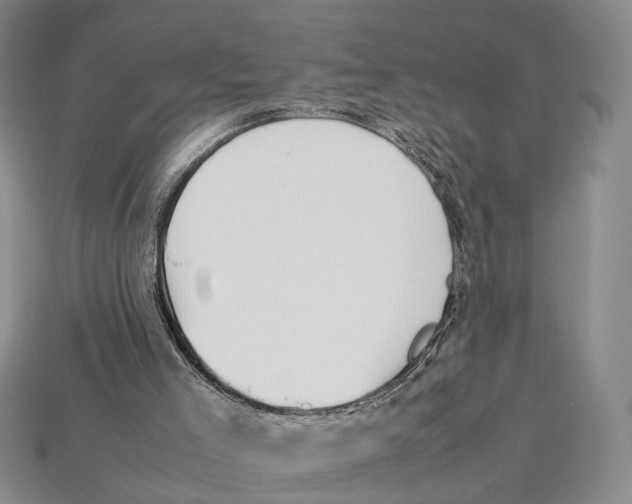 X0000113030005200909241423