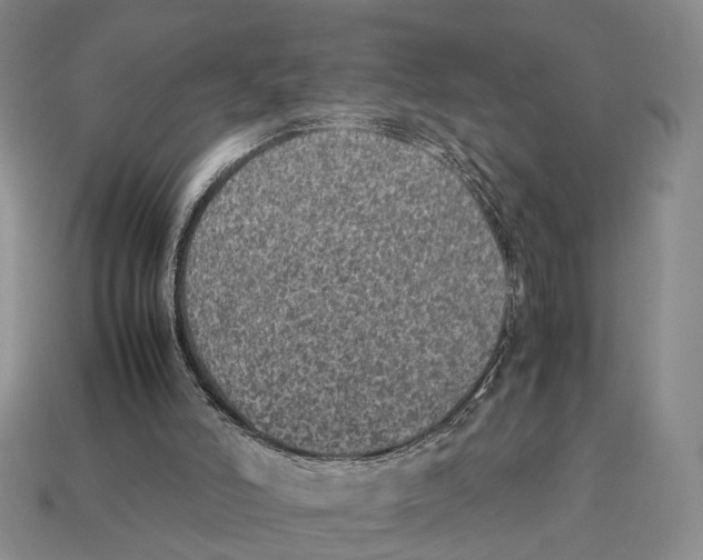 X0000113030006200909241423