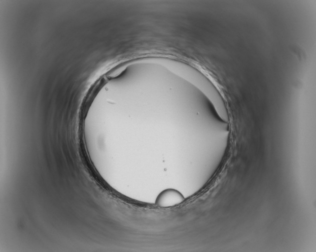 X0000113030008200909241423