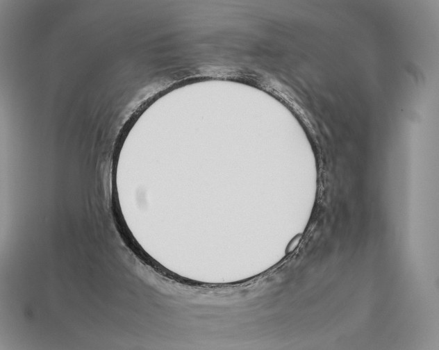 X0000113030011200909241423