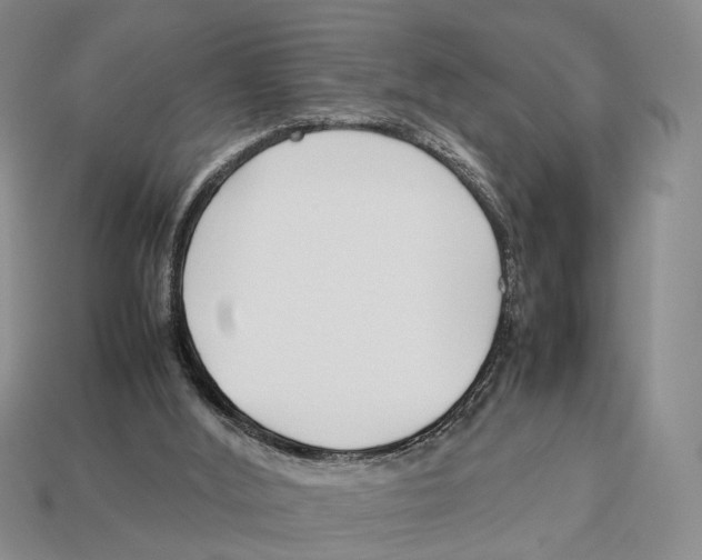 X0000113030012200909241423