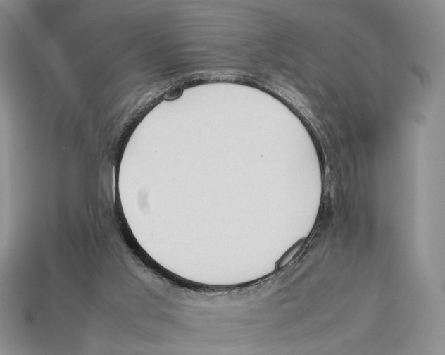 X0000113030013200909241423