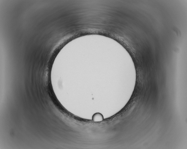 X0000113030016200909241423