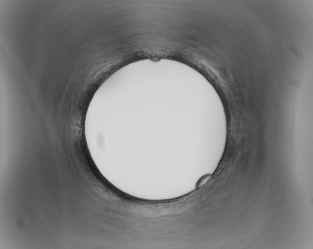 X0000113030017200909241423