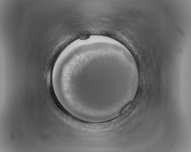 X0000113030019200909241423