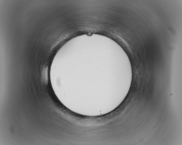 X0000113030020200909241423