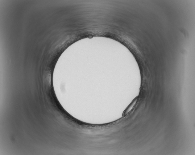 X0000113030021200909241423