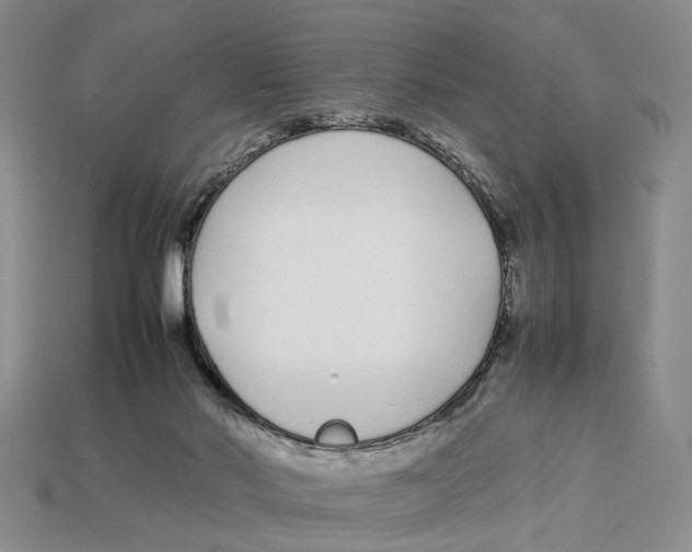 X0000113030022200909241423