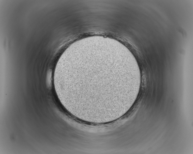 X0000113030024200909241423