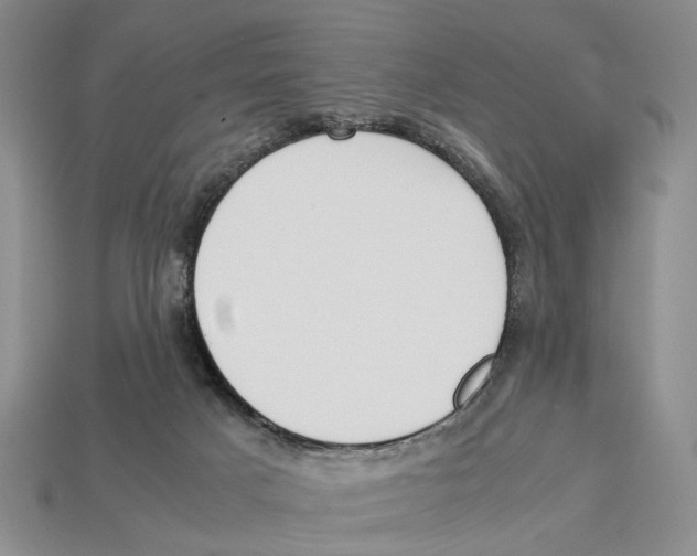 X0000113030025200909241423