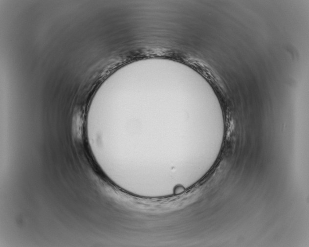 X0000113030026200909241423