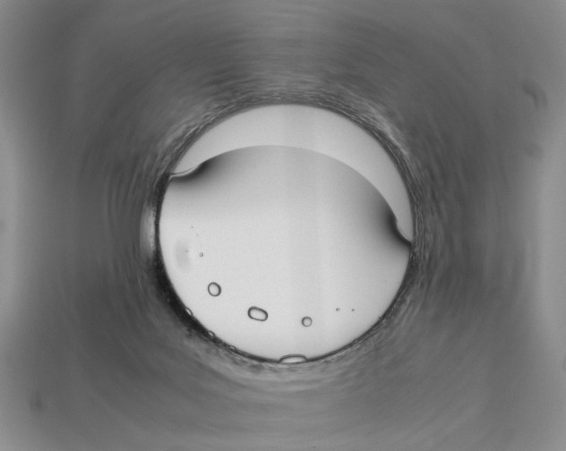 X0000113030027200909241423