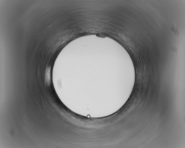 X0000113030028200909241423