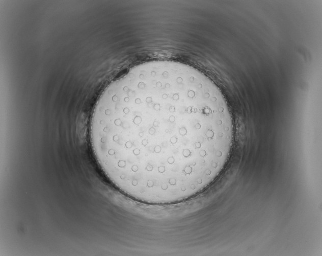 X0000113030030200909241423