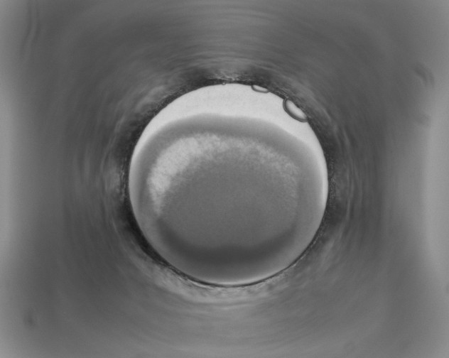 X0000113030031200909241423