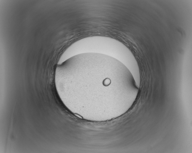 X0000113030033200909241423