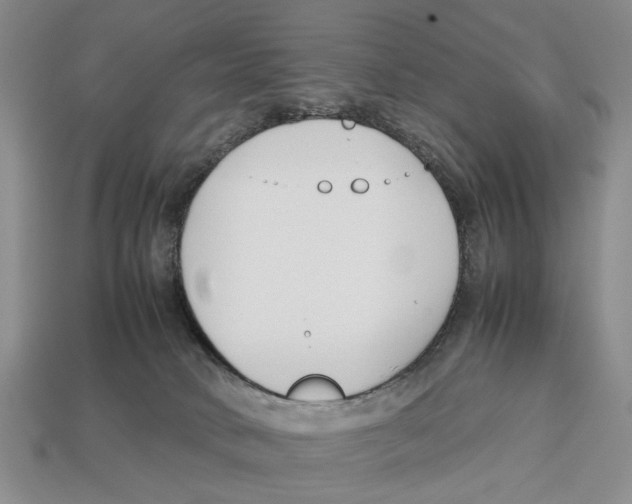 X0000113030034200909241423