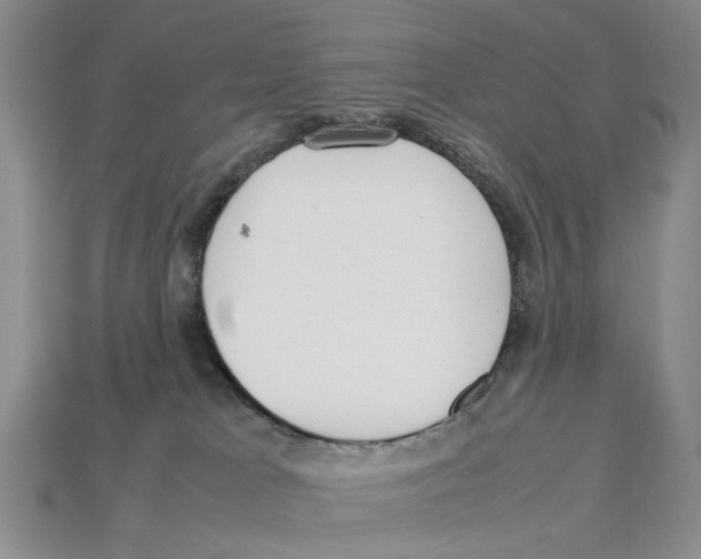 X0000113030037200909241423