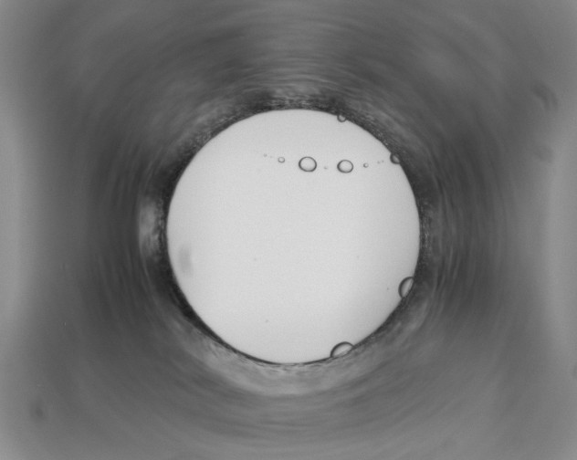 X0000113030038200909241423