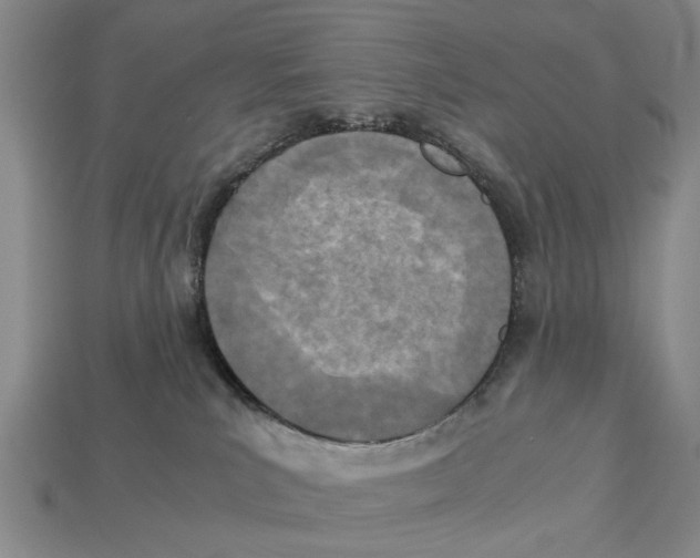 X0000113030039200909241423