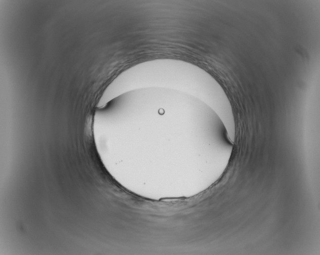 X0000113030041200909241423