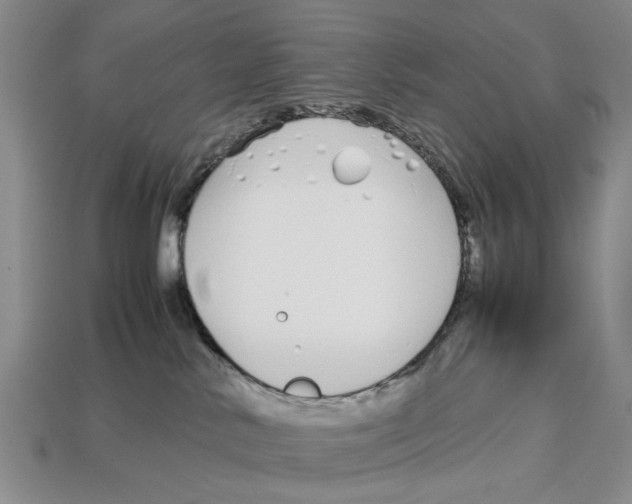 X0000113030042200909241423