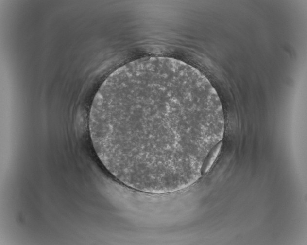 X0000113030043200909241423